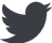 twitter icon